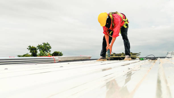 Best Gutter Installation and Repair  in Maple Plain, MN