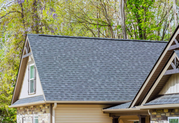 Best Roof Maintenance and Cleaning  in Maple Plain, MN